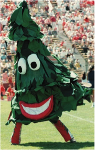 The Stanford Tree
