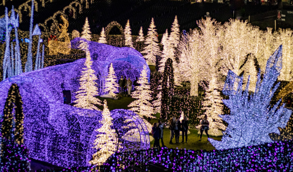 Enchanted Xmas Lights Up The Holiday Season