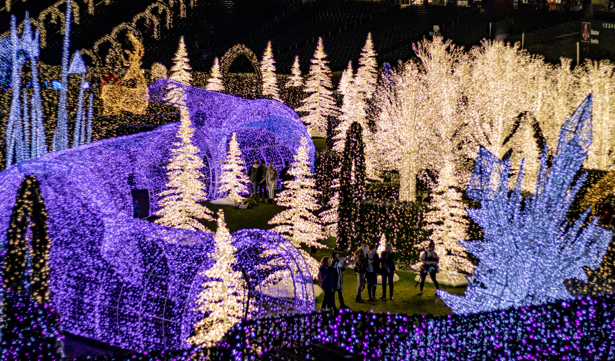 Enchanted Xmas Lights Up The Holiday Season The Spectator