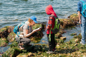 The High Impact of Low Tide Beach Walks