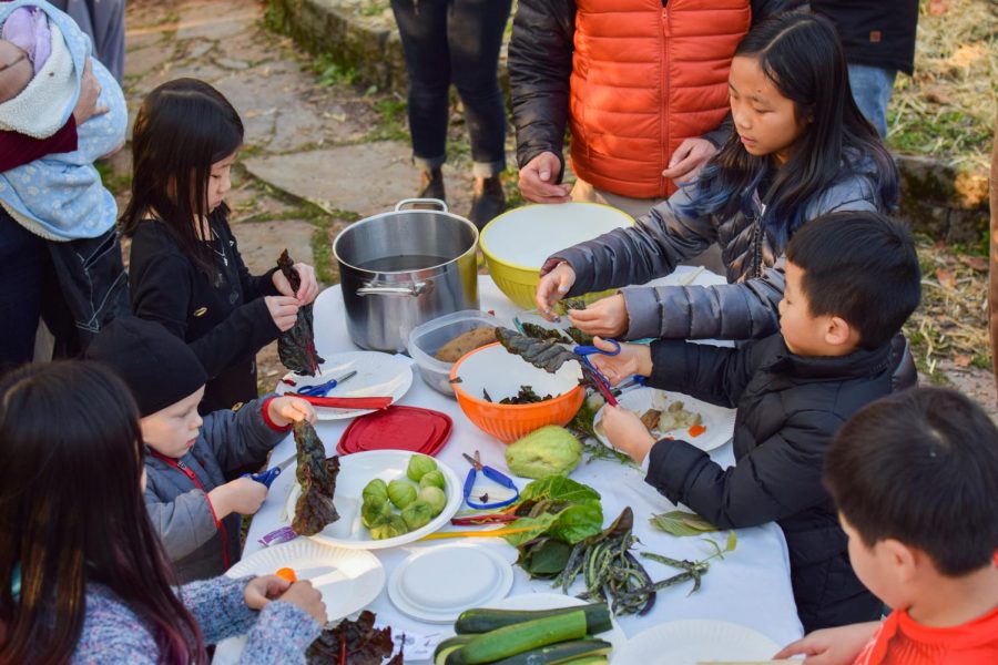 After searching for and harvesting the vegetables, the children learn how to cut and prepare them.