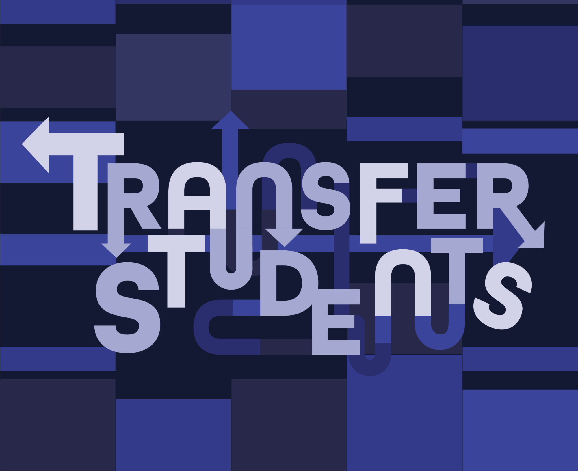 Exploring the Transfer Experience