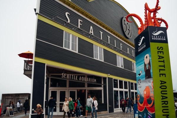 Seattle Aquarium collaborates with Nintendo on new Animal Crossing