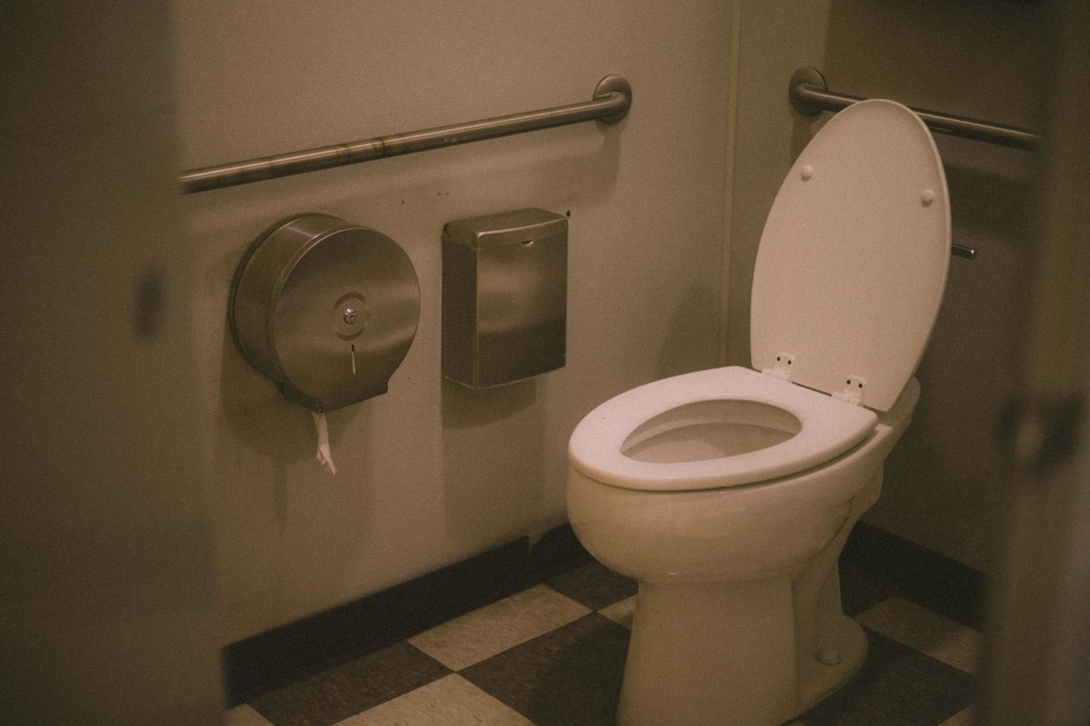 No Need For Potty Training: Navigating Seattle’s Toilet Crisis