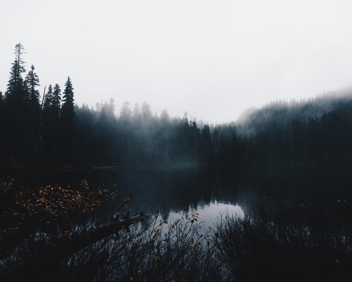 Trees reflecting on the water of Lodge Lake