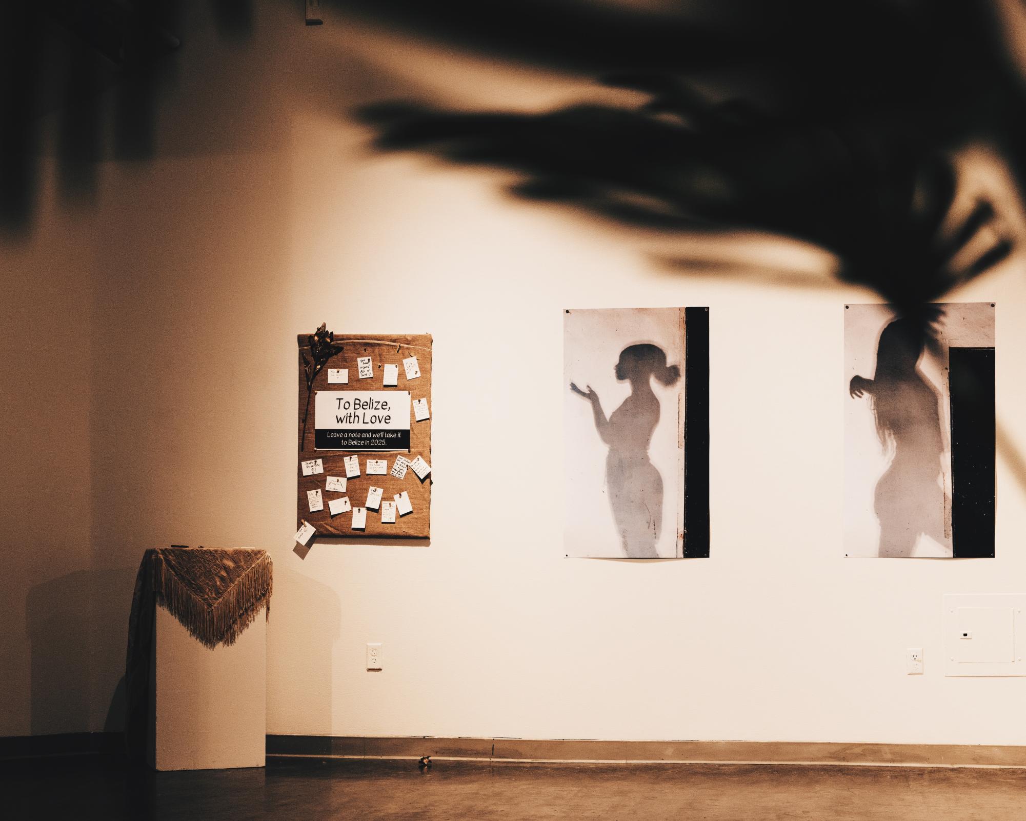 “From Belize, With Love”: A Gallery that Interprets Strength through the Symbol of Shadows