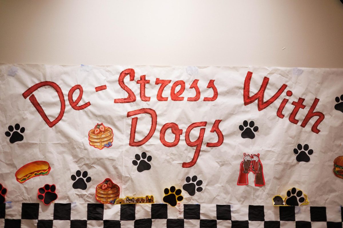 Photo Essay: De-stress With Dogs