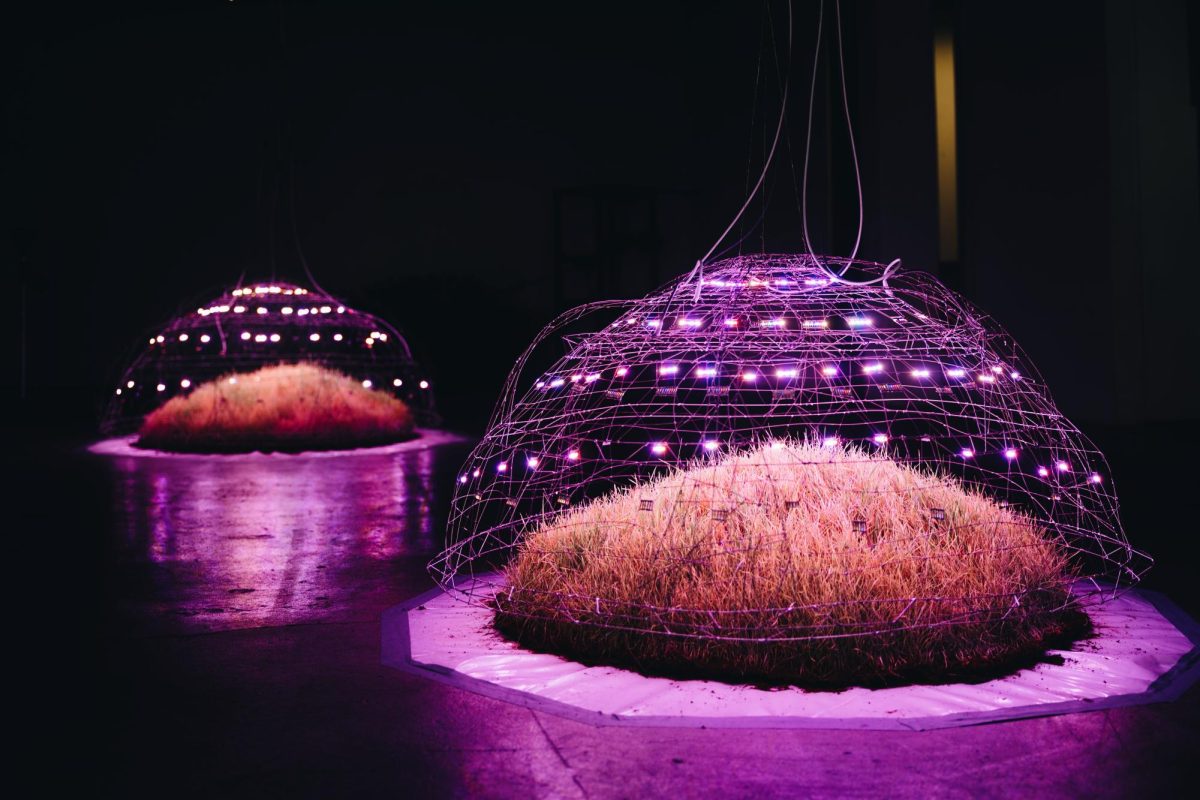 Domes on display in the gallery.