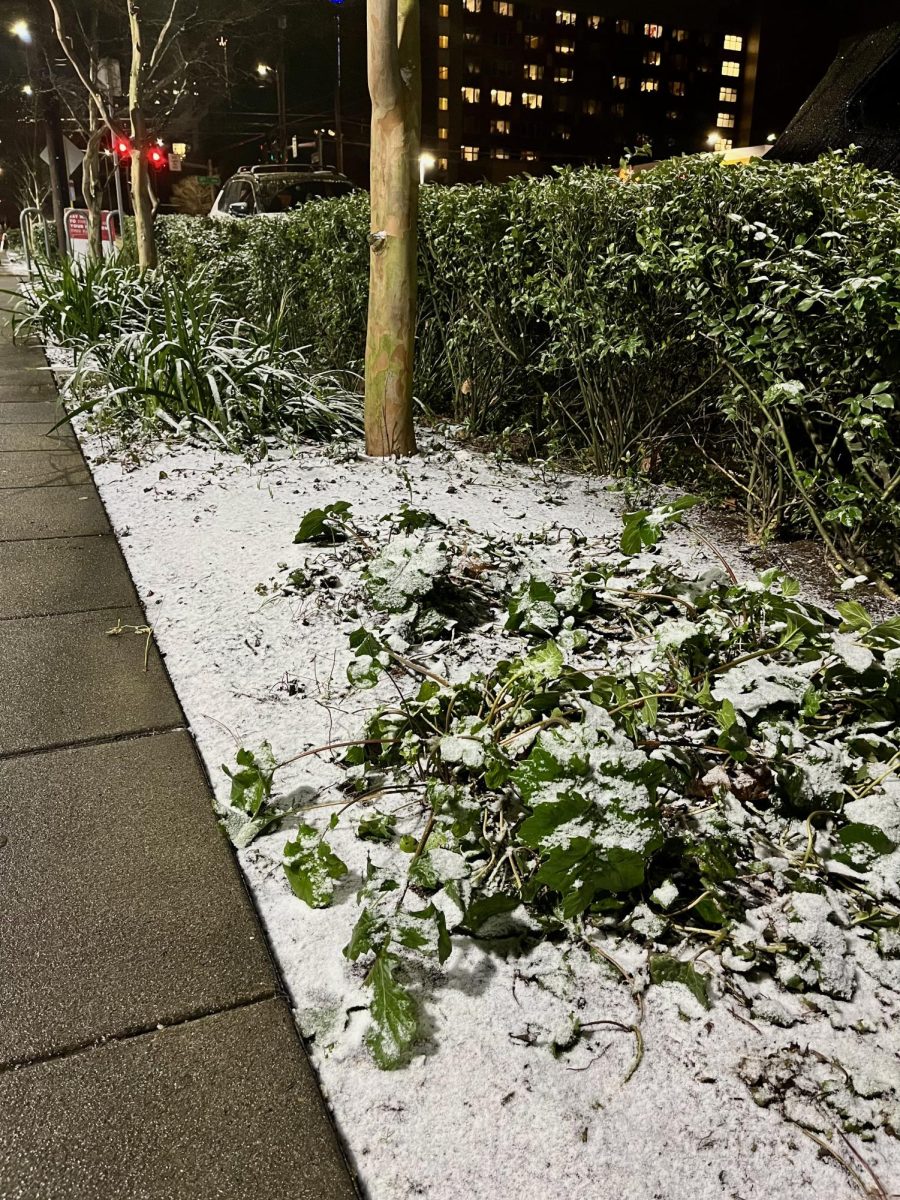 Icy sidewalks and snow