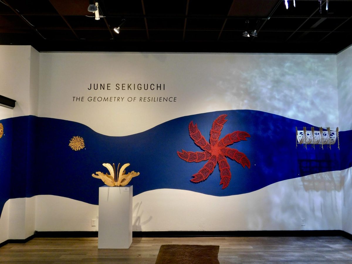 “June Sekiguchi - The Geometry of Resilience” printed on a wall displaying a variety of Sekiguchi’s work.
