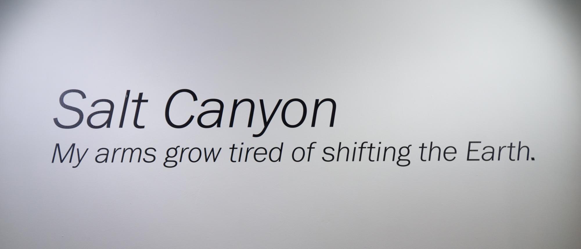 Photo Essay: Cornish Alumni Gallery Features 'Salt Canyon'