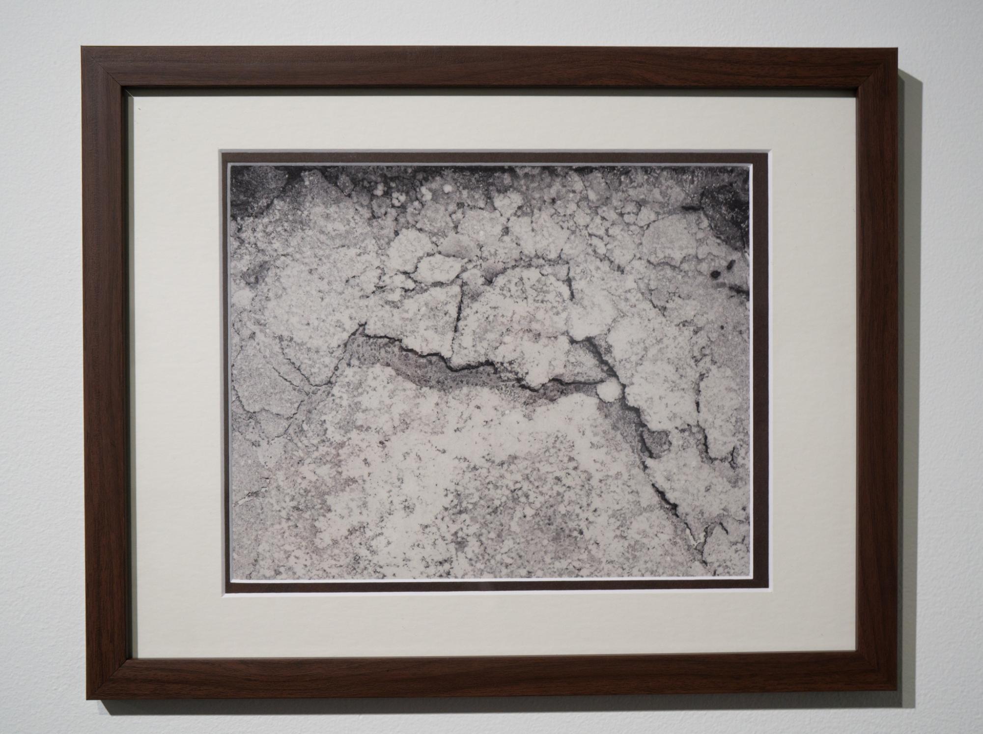 Photo Essay: Cornish Alumni Gallery Features 'Salt Canyon'