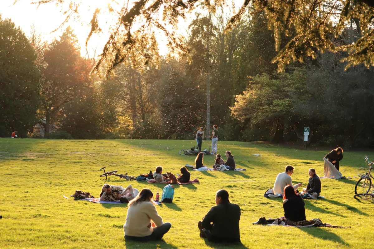 Humans, pets and insects celebrating the sun at Volunteer Park’s Amphitheater Lawn. This green is the perfect place to be in community while surrounded by nature. After a well-deserved picnic, you can wander into the Conservatory to meet its lush, rare plant collection.