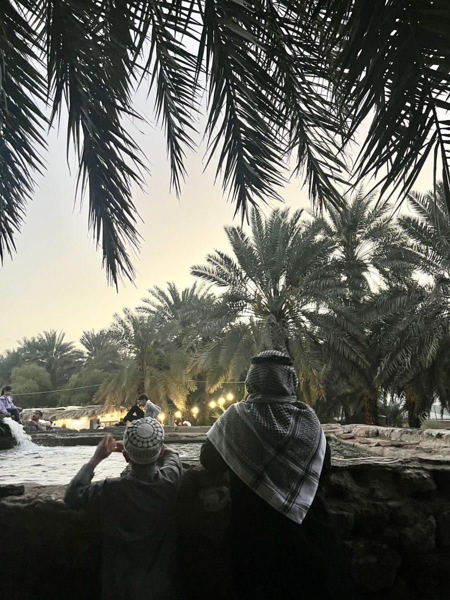 Two young boys stand in front of a well on a date farm in Saudi Arabia 